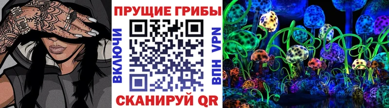 Галлюциногенные грибы Cubensis  Ак-Довурак 